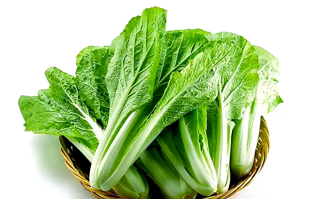 Bok Choy (小白菜)